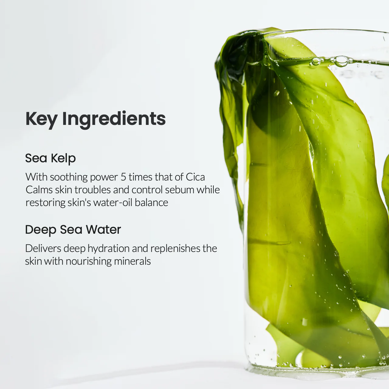 BIODANCE-Refreshing-Sea-kelp-Real-Deep-Mask